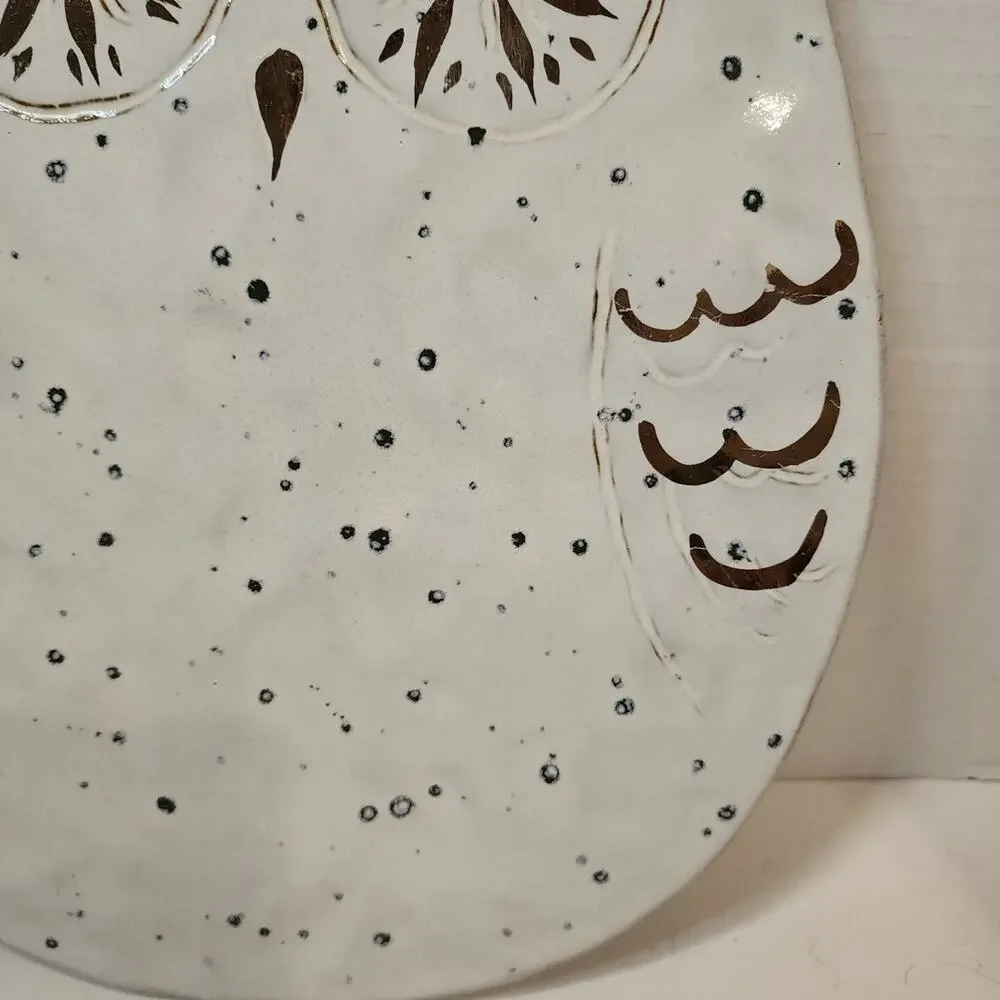 White Wide Eyed Owl 12